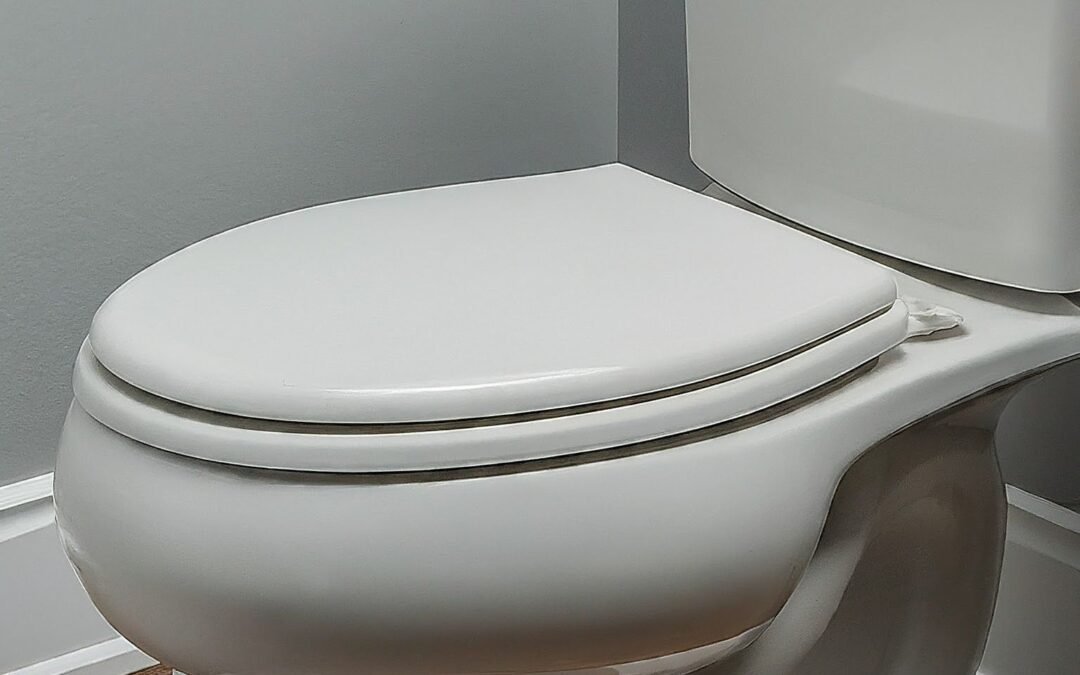 DIY Guide: Replacing a Toilet Flapper
